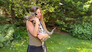 A moment of tenderness with a wild beast ❤️serval cat Versa