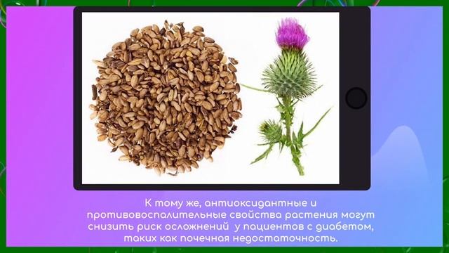 Расторопша + печень = ❤ смотреть онлайн