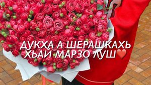 Увайс Шерипов - Декъал Нана❤️