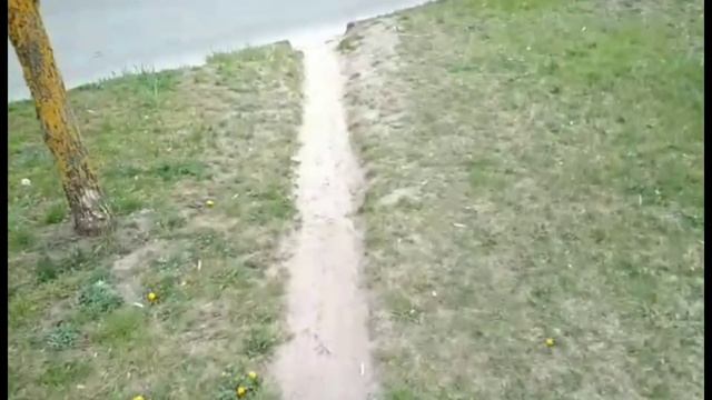 Запрещающие знаки