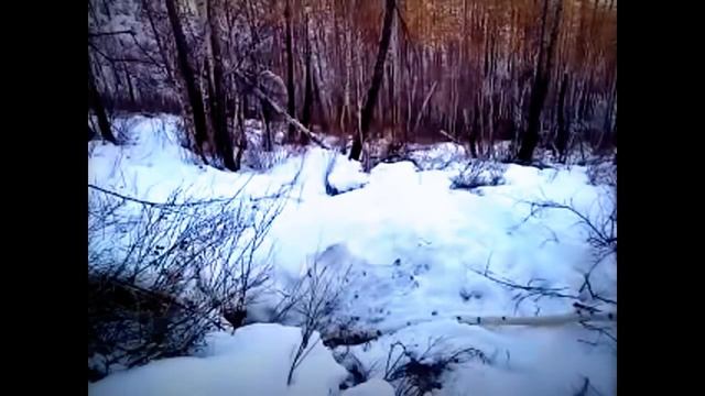 ОХОТА НА МЕДВЕДЯ 01 смотреть онлайн