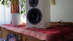 Dynaudio Emit M20 demo