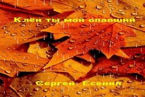 Клён ты мой опавший