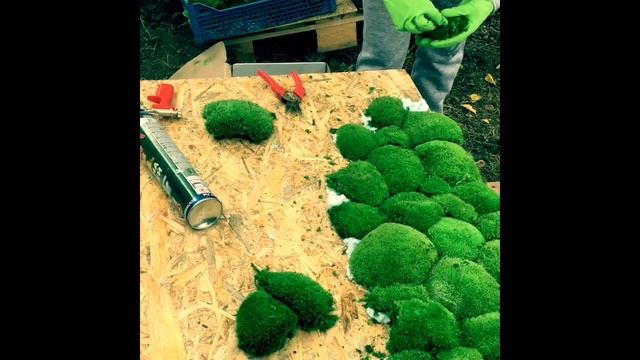 Монтирование Стабилизированного Мха смотреть онлайн