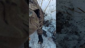 Тапинамбур зимой.mp4