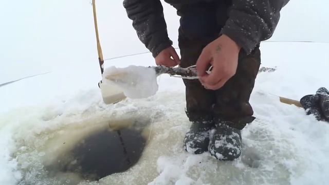 Продольник на налима зимой! Рыбалка на севере Стофети и компания 2017 смотреть онлайн