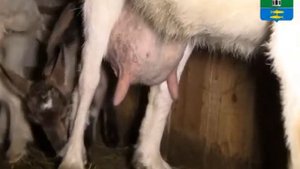 Переславский район Ярославской области