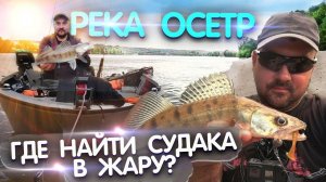 Где искать судака в жару. Река Осетр. Ловля судака на джиг летом 2021.