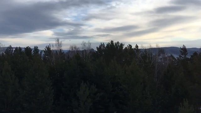 Гремячая грива. Красноярск. Смотровая площадка эко парка