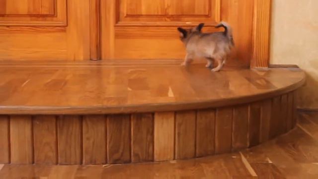 My Edited Video смотреть онлайн