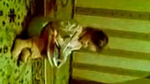 Я пою песни на горшке!!!!