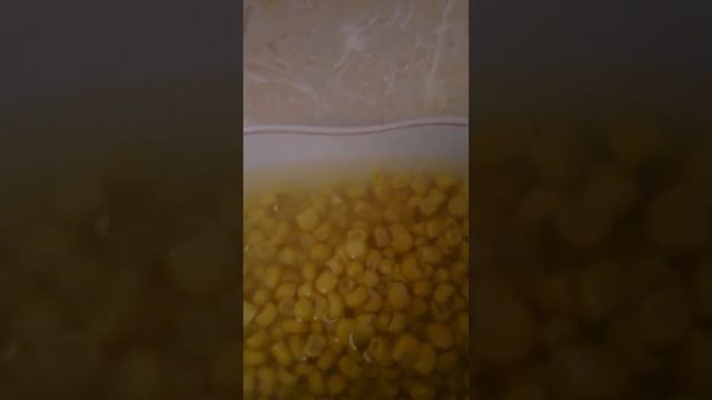 Купила продукты в магазине светофор.Не советую туда не ходить Кабардино-Балкария смотреть онлайн