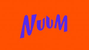 Обзор NUUM