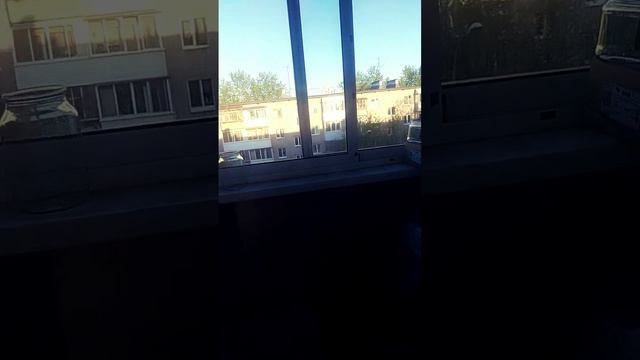 пожалуйста сохрани это видео падают бомбы