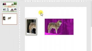 видео 3 D-фото