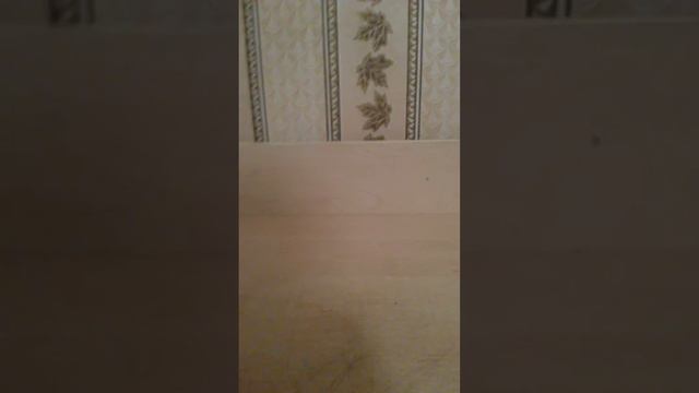 Посылка Растения против зомби смотреть онлайн