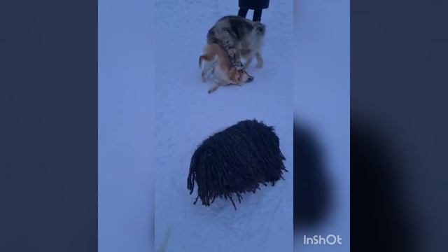 "Администрация за оставленные вещи очень переживает, но ответственности не несет" ?