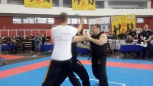 Leonid Smirnov (IWCO) - "КУБОК МИРА" СПб-2015 Номинация: Chuen Tong Chi Sao