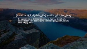 Сколько Мусульман в мире ?