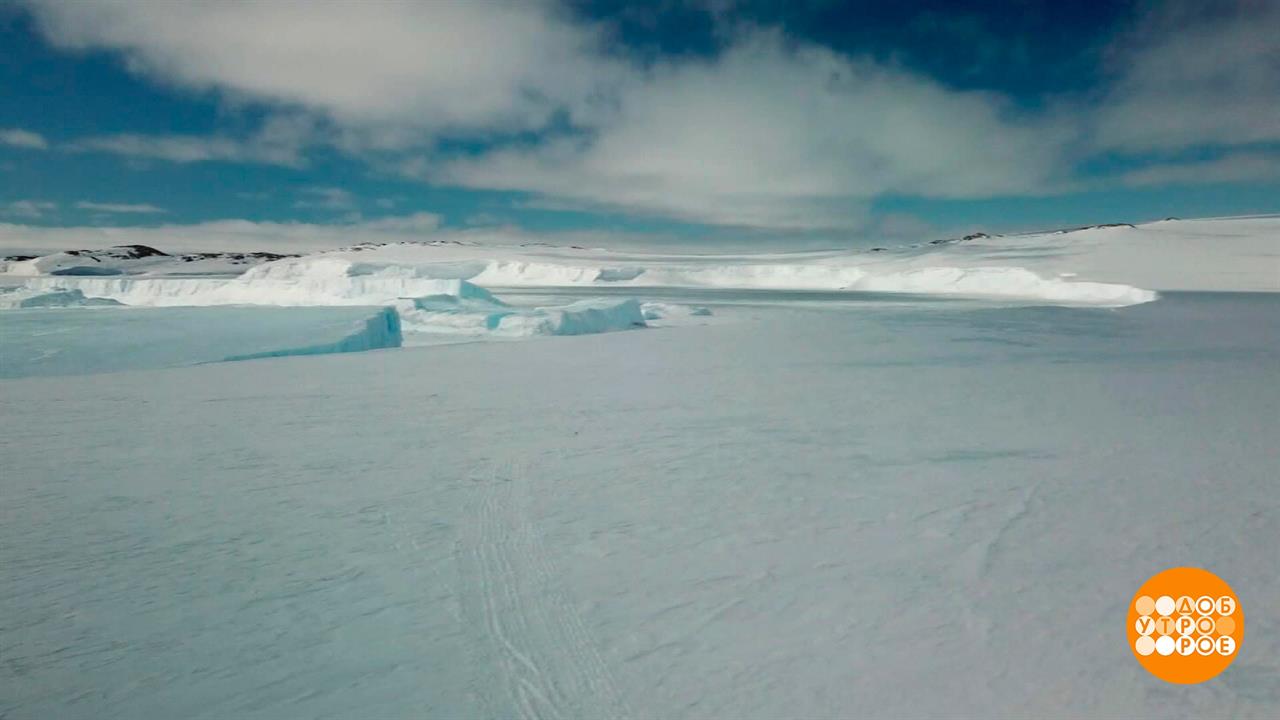 Антарктида: не просто лед! Доброе утро. Фрагмент выпуска от 23.01.2023
