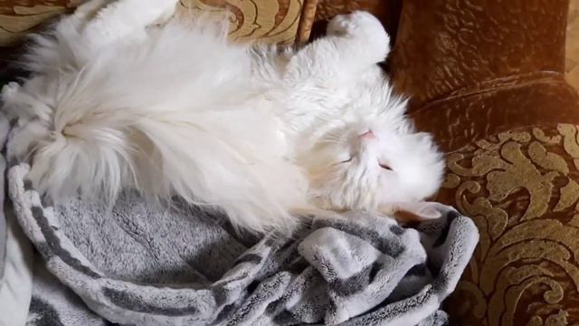 Когда я просыпаюсь #сон смотреть онлайн