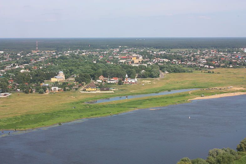 Белоомут луховицы фото