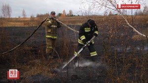 Как потушить торфяной пожар: мнение эксперта