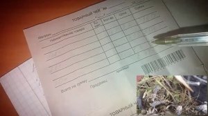 СКОЛЬКО Я ЗАРАБОТАЛ НА ПРОДАЖЕ РАКОВ ЗА СЕЗОН??