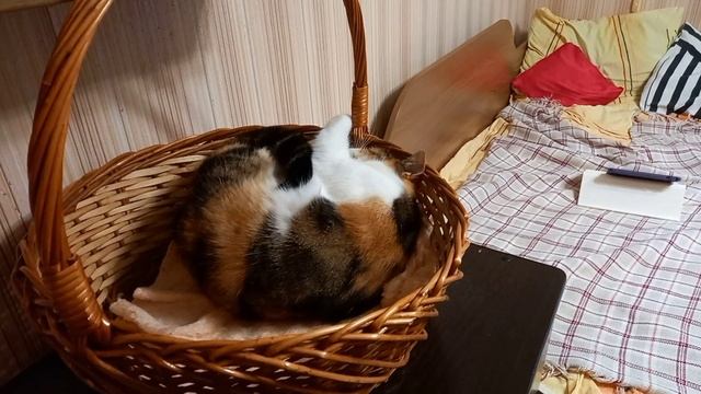 Сараби