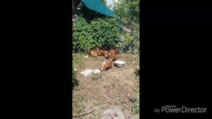Поездка к семье Гмызиных.