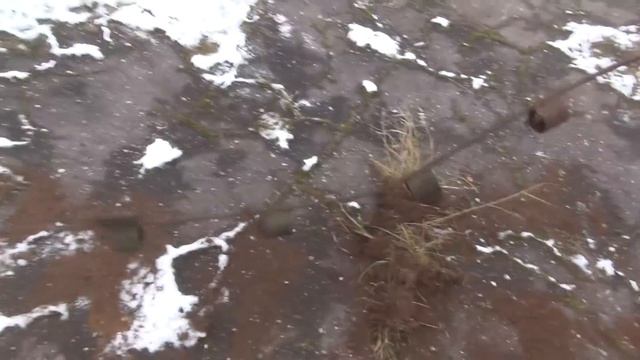 Коп чермета с металлоискателем на любимой ферме.