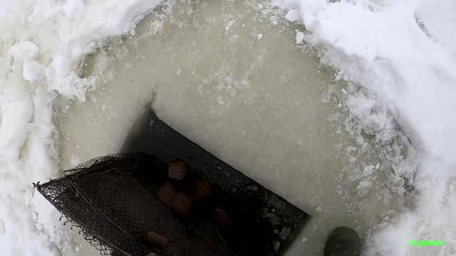 Где в Сибири РАКИ зимуют!?! На безрыбье в глухозимье и РАК рыба. Рыбалка в Сибири 2022. смотреть онлайн