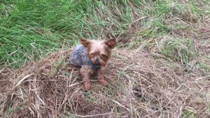 Правильная самоизоляция - каникулы 2020 в деревне!