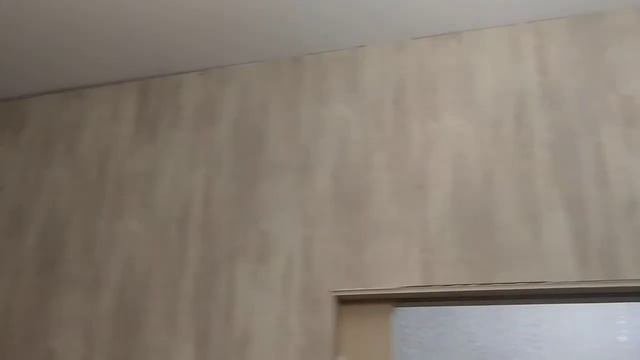 дверь купе + перегородка