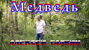 Алексей Галкин. «Медведь» муз. и ст. А.Галкин.