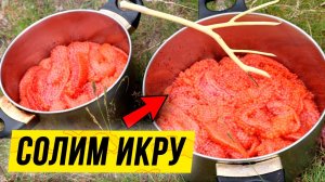 Как засолить красную ИКРУ прямо на реке ?