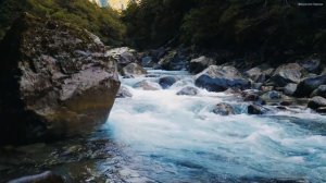 Эту песню можно слушать вечно🌺Божественная музыка трогает за душу🌺Красивая весенняя мелодия #22