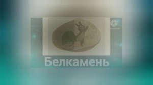 Трям здравствуйте + ШИЗА =