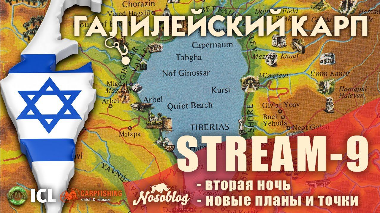 Галилейский карп 2020 (карпфишинг), выпуск 9, конкурс по количеству пойманной рыбы