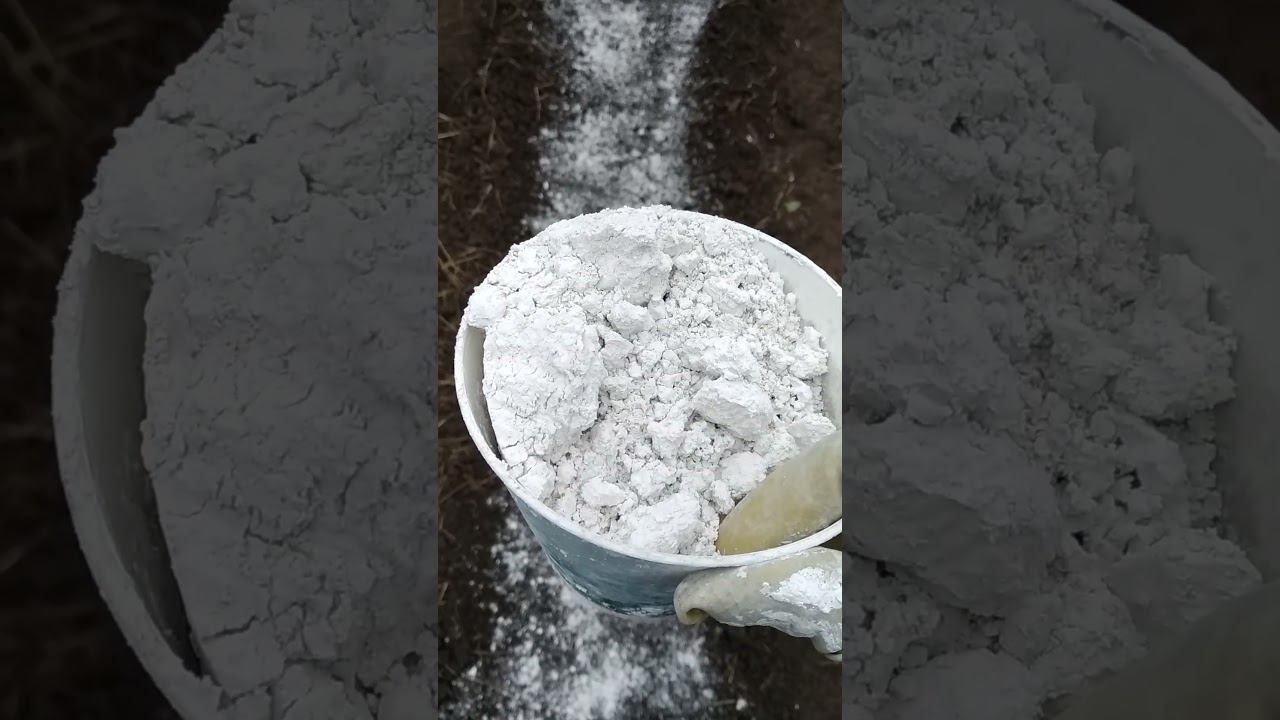 Кислые почвы  #советысадоводам #советыогородникам