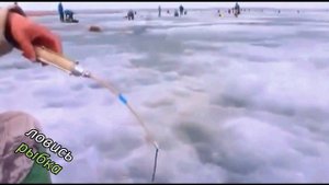 Карась зимой