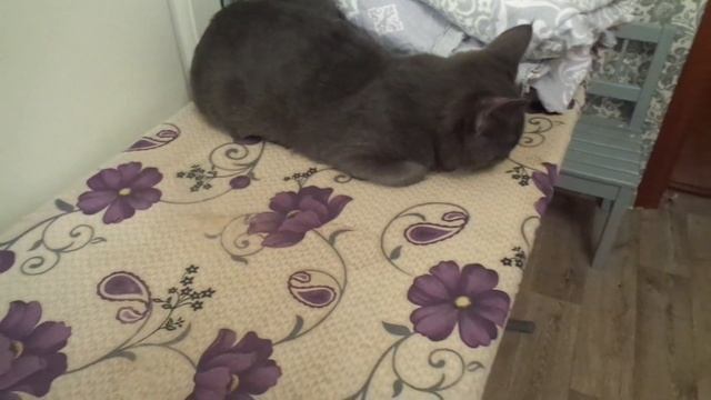 1318 - ВЛОГ/Болталка/Отношения - Свекровь, Невестка/от 3 декабря 2020г смотреть онлайн