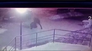 В Оренбурге мужчина избил нового сожителя своей бывшей жены