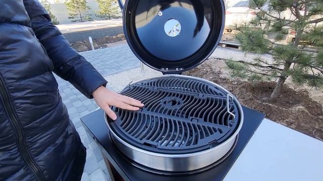 Почему я купил угольный гриль Napoleon pro22k-cart, а не Weber master-touch premium смотреть онлайн