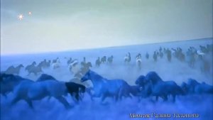 И НЕСУТ МЕНЯ ПО КРАЮ, КОНИ БЕЛЫЕ НЕСУТ Исп.Н.Кадышева