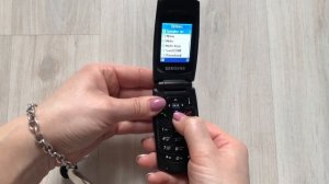 Samsung SGH-X160 Clamshell Incoming call/Входящий вызов