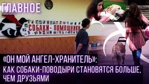 «ОН МОЙ АНГЕЛ-ХРАНИТЕЛЬ»: КАК СОБАКИ-ПОВОДЫРИ СТАНОВЯТСЯ БОЛЬШЕ, ЧЕМ ДРУЗЬЯМИ