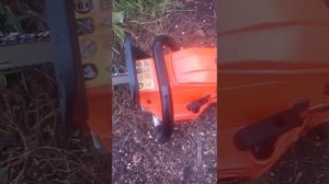 Бензопила Брайт 4518 после пол года