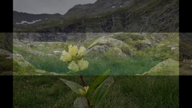 les pyrénnées ,le lac d'isabe ,ARMAND AMAR смотреть онлайн
