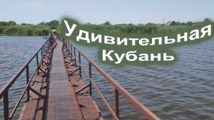 2.Удивительная Кубань от С.Трандафилова